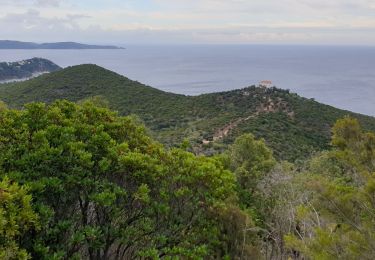 Trail Walking Rayol-Canadel-sur-Mer - Le Rayol, col de l'étoile  - Photo