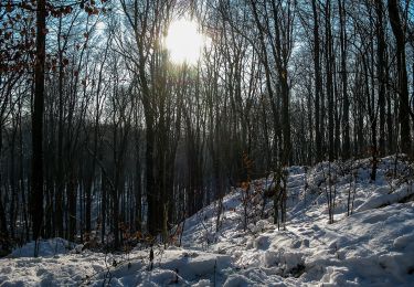 Tour Zu Fuß Nottuln - Longinusturm Rundweg A4 - Photo