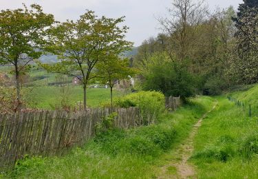 Tour Wandern Huldenberg - Terlanen - Up and Down - Photo