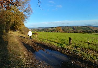 Trail Walking Érezée - Fisenne-2021 - Photo