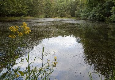Tour Zu Fuß Spa - SPA 03 - Prinzessin Clementine 🟥 - Photo