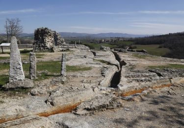 Trail On foot San Quirico d'Orcia - Poggio al Vento da Bagno Vignoni - Photo