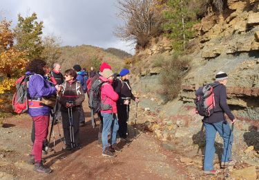 Tocht Stappen Ceilhes-et-Rocozels - ceilhes - Photo