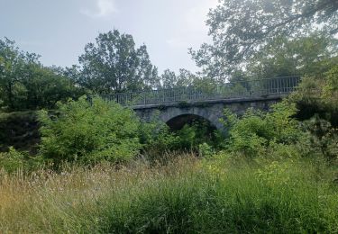 Trail Walking Volonne - SALIGNAC . CRETES S MARTIN  . CHAPELLES . O L S - Photo