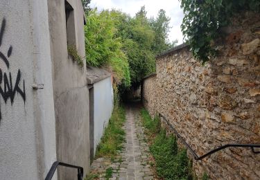 Tour Wandern Igny - Entre jardins et forets - Photo