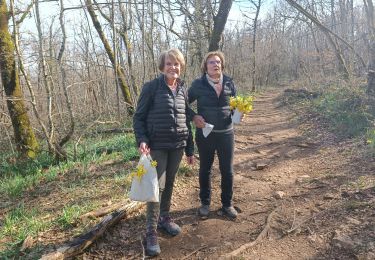 Tour Wandern Coligny - vergongeat - Photo