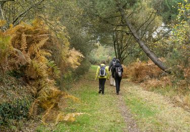 Tocht Stappen Belz - Tro Belz - Photo