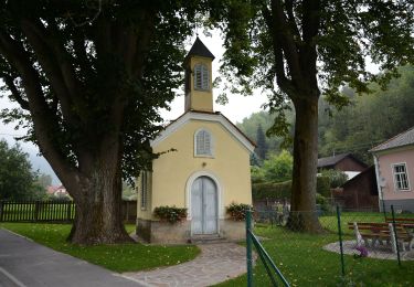 Tocht Te voet Thannhausen - Wanderweg 11a - Photo