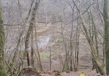 Tour Wandern Saint-Hubert - Marche ADEPS Fourneau Saint-Michel  (Saint-Hubert) - Photo
