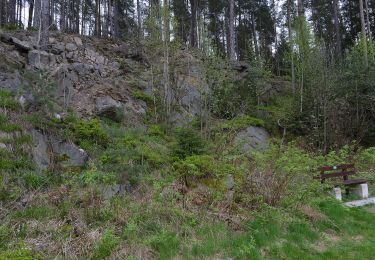 Excursión A pie Thierstein - Wanderweg Selb-Thierstein - Photo