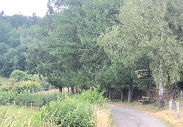 Tour Wandern Pepinster - Pepinster - Photo
