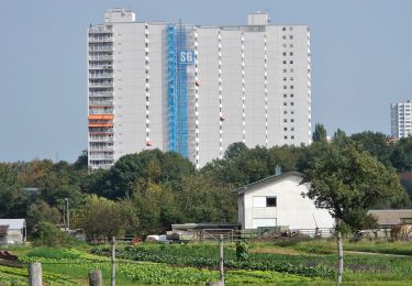 Randonnée A pied Sindelfingen - DE-SAV Roter Punkt, Möhringen - Mahdental - Photo