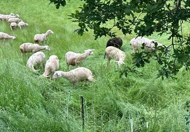 Tour Wandern Val d'Arcomie - Gara it - Photo