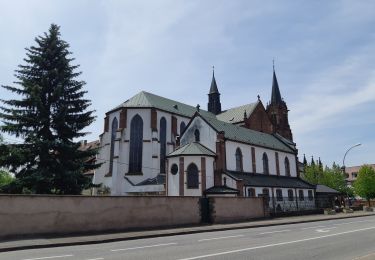Trail Walking Haguenau - Circuit de la Moder : Haguenau - Kaltenhouse - Marienthal - Photo
