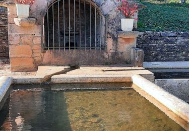 Excursión Senderismo Chemaudin et Vaux - Chemaudin et vaux Mazerolles  Placey  - Photo