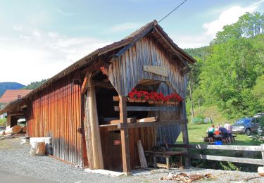 Tour Wandern Lepuix - Lepuix - Photo