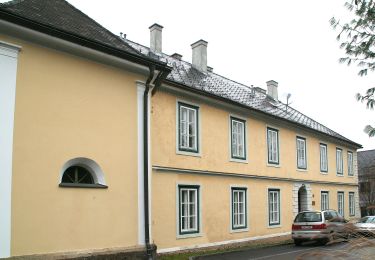 Tour Zu Fuß Tieschen - TAU - Weg der Riede - Photo