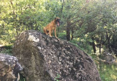 Tour Wandern Saint-Privat - Saint Privat - Photo
