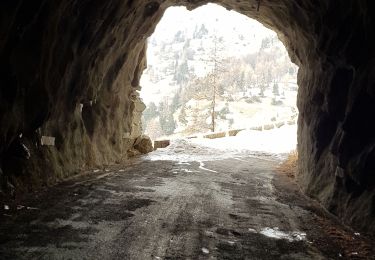 Tocht Sneeuwschoenen Entraunes - ancien col de la Cayolle - Photo