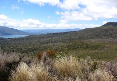 Tocht Te voet  - Te Araroa - 03 Waikato - n 42 Traverse - Photo