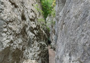 Tocht Stappen Cheval-Blanc - gorge du regalon - Photo