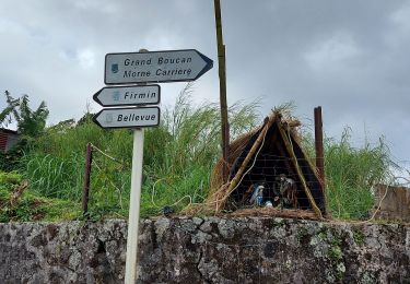 Tocht Stappen Le Vauclin - ,Boucle Montagne Vauclin via Coq. - Photo