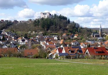 Tocht Te voet Reinheim - Rundwanderweg Sparkasse-Dieburg 1 : Wanderung im vorderen Odenwald - Photo