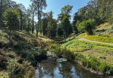 Trail Walking Ciney - Sentier VERT - 5.34 Km - Chevetogne - Photo