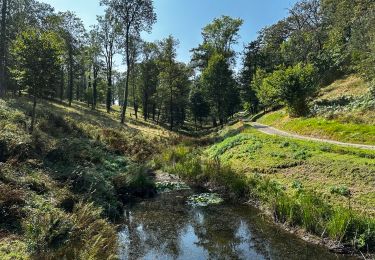 Tocht Stappen Ciney - Sentier VERT - 5.34 Km - Chevetogne - Photo