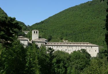 Randonnée A pied Cagli - Sentiero Frassati - Photo