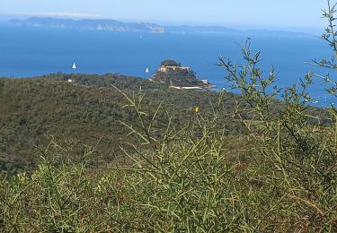 Tour Wandern Le Lavandou - Le Lavandou / Brégançon - Photo