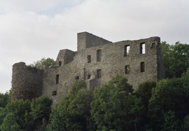 Tocht Te voet Virneburg - Virne-Burgweg - Photo