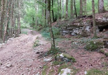 Tocht Stappen Ouhans - RANDONNEE A LA SOURCE DE LA LOUE - Photo