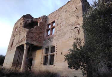 Randonnée Marche Caromb - Caromb le Paty le BArroux - Photo