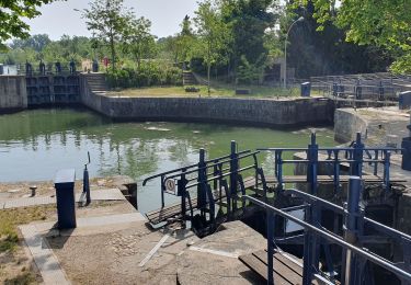 Trail Walking Agde - Agde - Photo