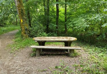 Tour Wandern Panzoult - Au pays de la Sibylle - Photo