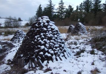 Tour Zu Fuß Claremorris-Swinford Municipal District - Callow Loop - Photo