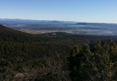 Trail Walking Saint-Maximin-la-Sainte-Baume - M 6 fev mont Aurelien - Photo