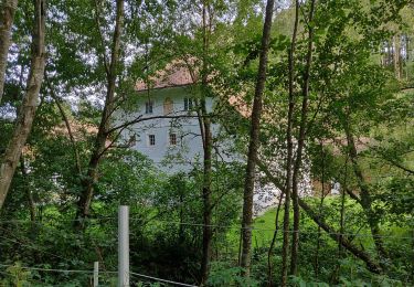 Excursión A pie Sankt Johann am Wimberg - Mühlenweg - Photo