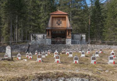 Randonnée A pied Malborghetto Valbruna - (SI A08) Casa Alpina Valbruna - Bivio Rifugio Pellarini - Photo