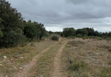 Trail Walking Aumelas - aumelas - Photo