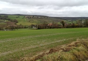 Trail Walking Vallées-en-Champagne - La Chapelle-Monthodon du 14-12-2023 - Photo