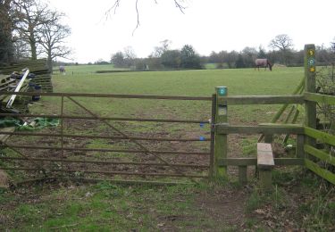 Percorso A piedi Coventry - ACW Circular Walk 19 - Photo