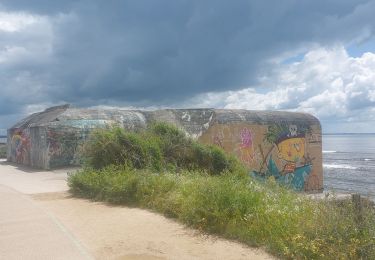 Trail Walking Damgan - PR_56_Damgan_AA_01_Le-Littoral-Damganais_Circuit1b_20240518 - Photo