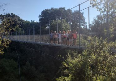 Tour Wandern Trans-en-Provence - TRANS-Le puits aérien et la passerelle hymalayenne -MBO - Photo