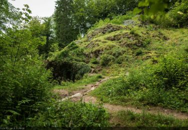 Randonnée V.T.T. Virton - Le Gros Cron de Lahage  -  Balade_VTT_23Kms - Photo