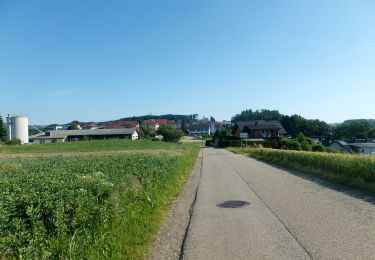 Tour Zu Fuß Altenberg bei Linz - Oberbairing-Altenberg - Photo