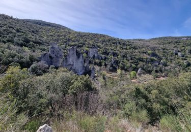 Trail Walking Signes - Rando Cancerilles 14 mai 2023 by DAL - Photo