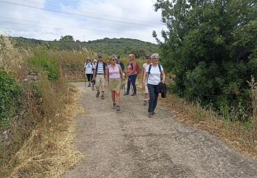 Trail Walking Neffiès - randonnée à Neffies - Photo