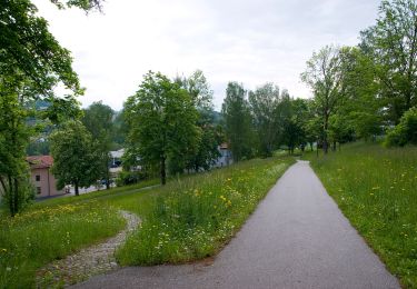 Percorso A piedi Viechtach - Viechtach Rundweg Nr. 4 - Photo